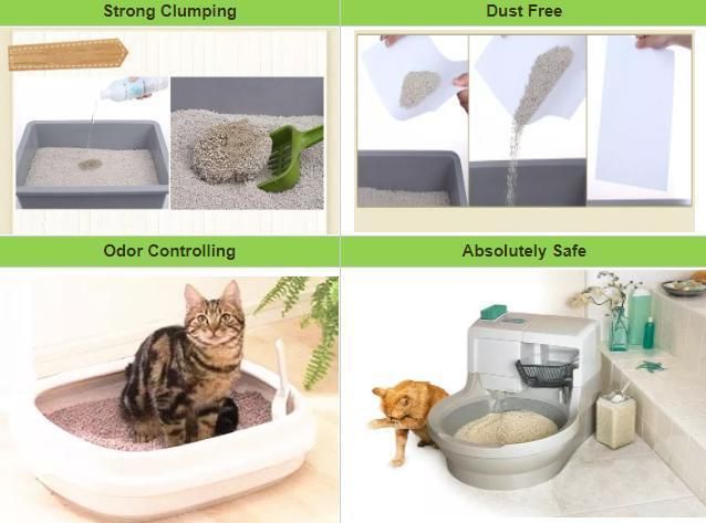 The Factory Specially Provides 10kg and 20kg 40kg Deodorized Low Dust Bentonite Cat Litter