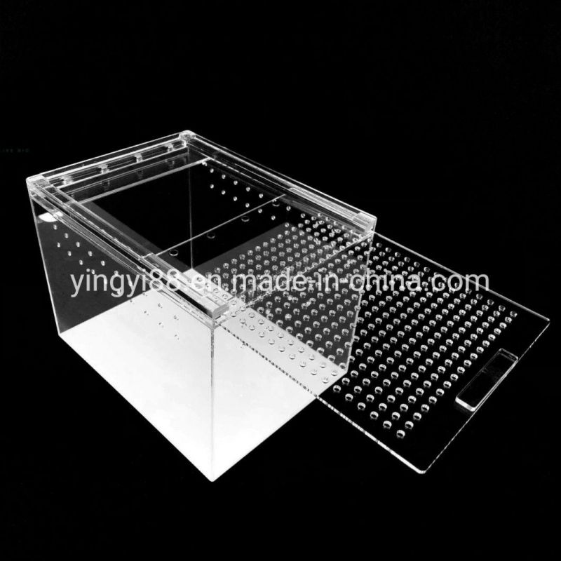 Wholesale Acrylic  Reptile Cage Shenzhen Factory