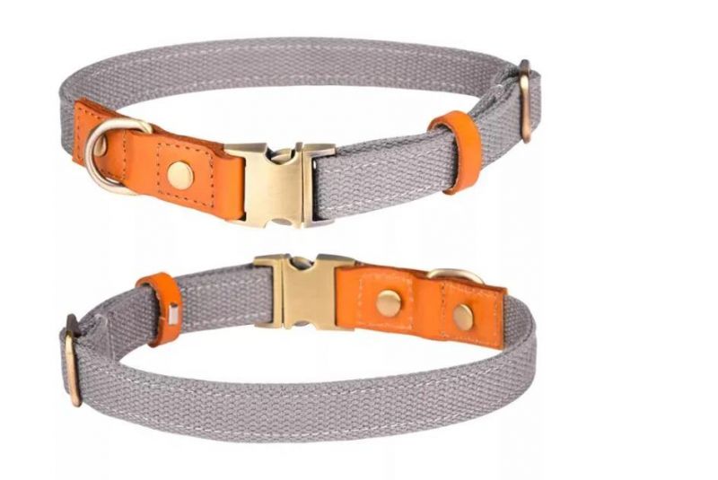 Sturdy Dog Collar with Leather Combination