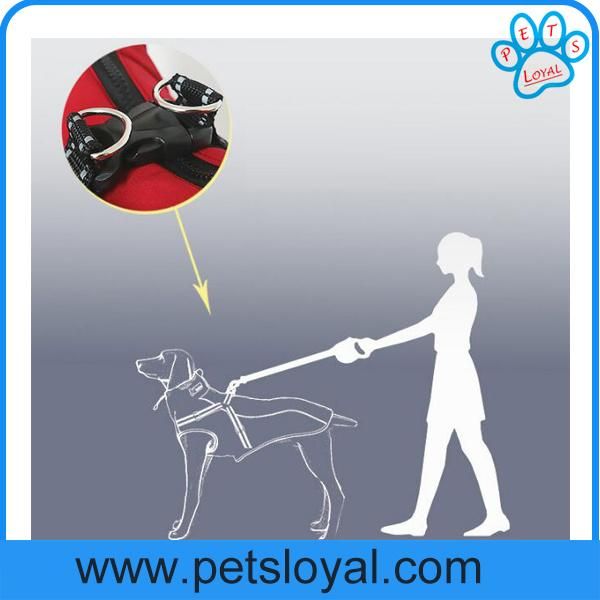 Manufacturer New Design Amazon Pet Dog Clothes with Collar