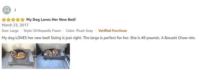 Best Dog Beds Dog Couch Available in Multiple Colors & Styles