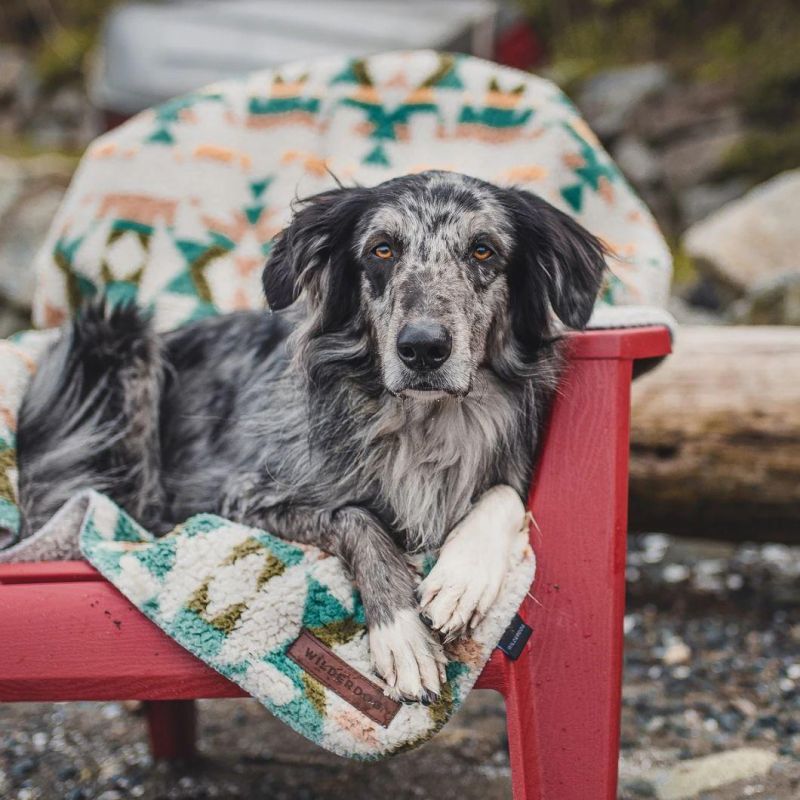 Customized Print/Solid Plushed Throw Sherpa Fleece Waterproof Pet/Dog/Cat/Puppypussy Blanket