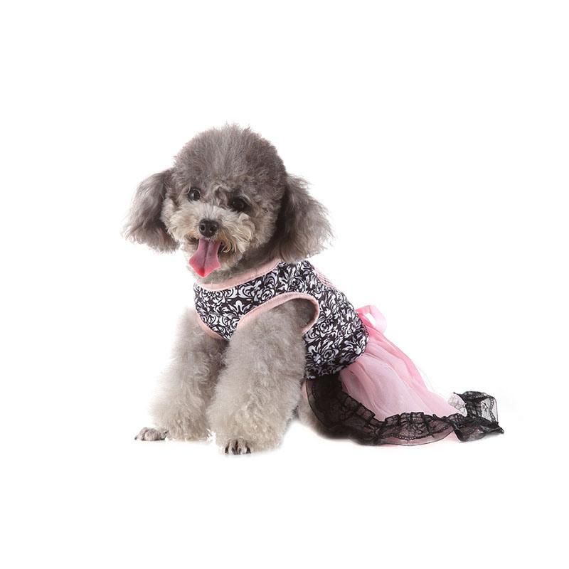 Adorable Princess Pet Dress with Beautiful Lace Skirt Hem