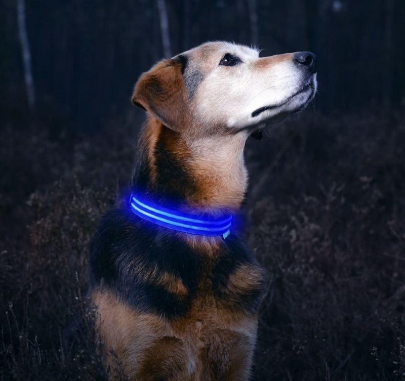 Easy-to-Use Clips LED Dog Collar
