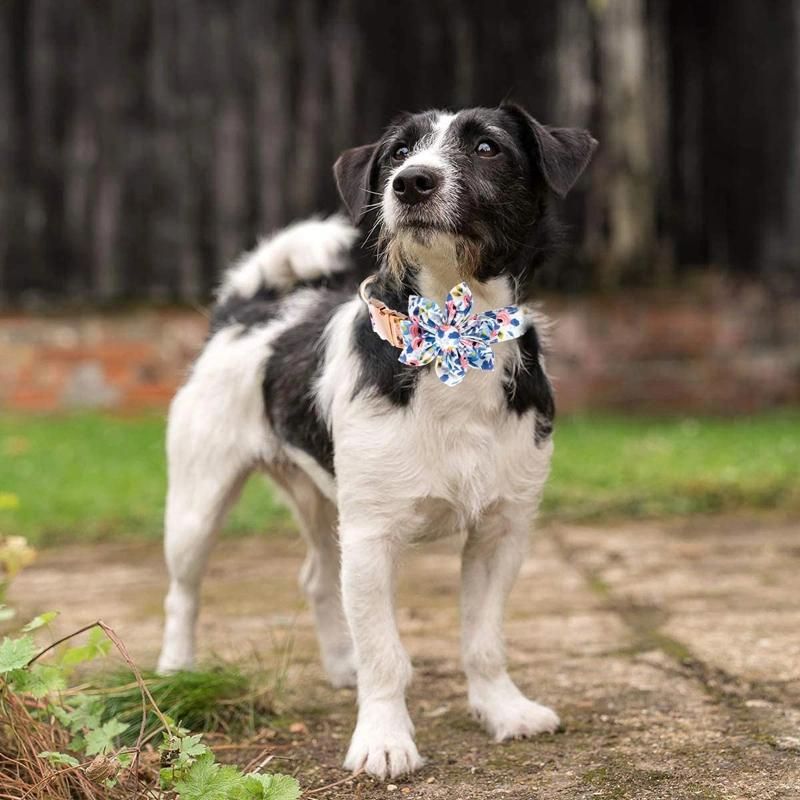 Custom Adjustable Cute Floral Personalized Dog Collar with Flower Tie