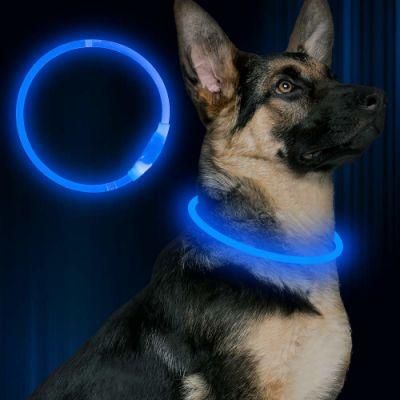 USB Rechargeable LED Dog Collar Glowing Pet Collar for Night Safety