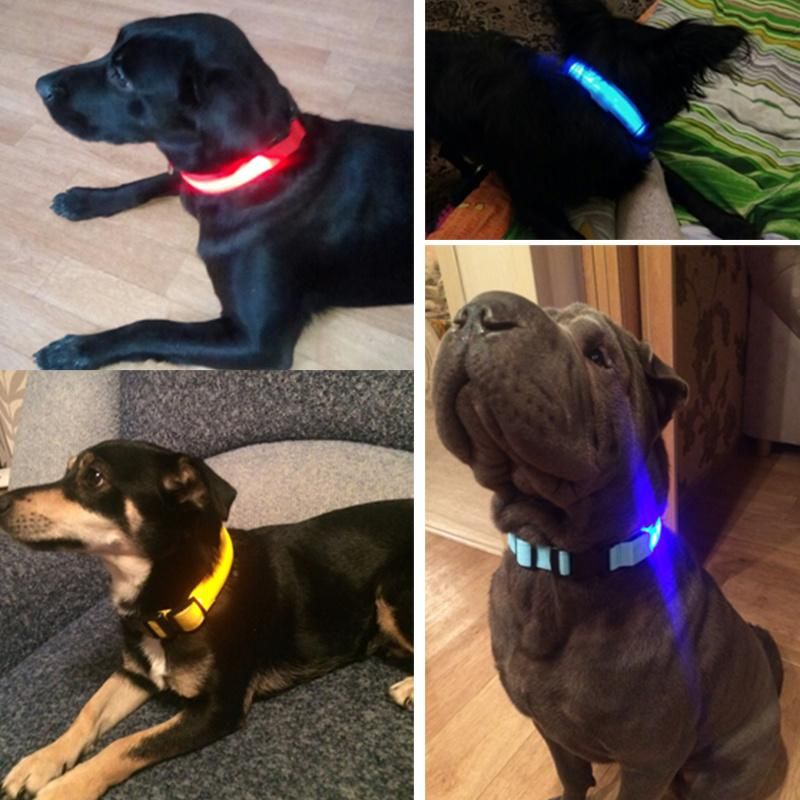 Hot Safety Pet Collar Lighted up Nylon LED Dog Collar Dog Products