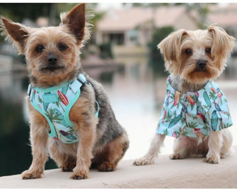 Wrap and Snap Fabric Print Choke Free Lightweight Dog Harness