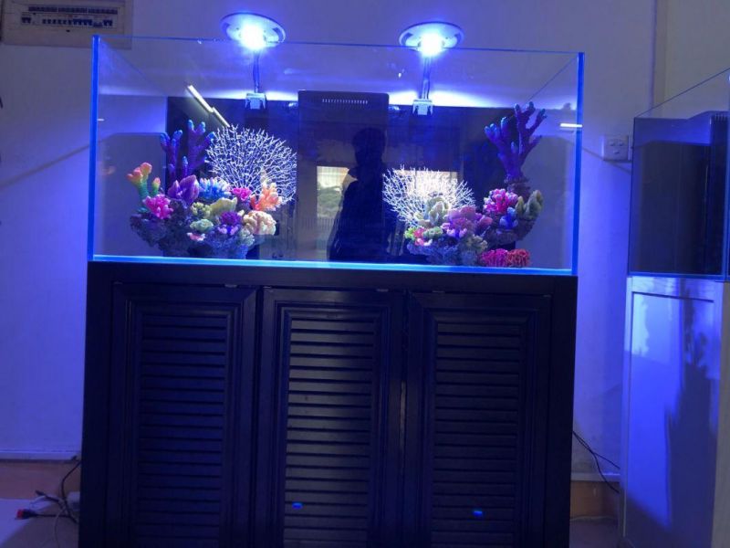 Sea Water Aquarium Tank with Aluminum Rack and Sump