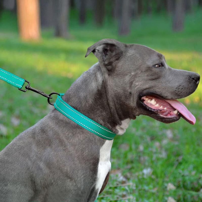 Reflective Dog Collar with Buckle Adjustable Safety Nylon Collars for Dogs