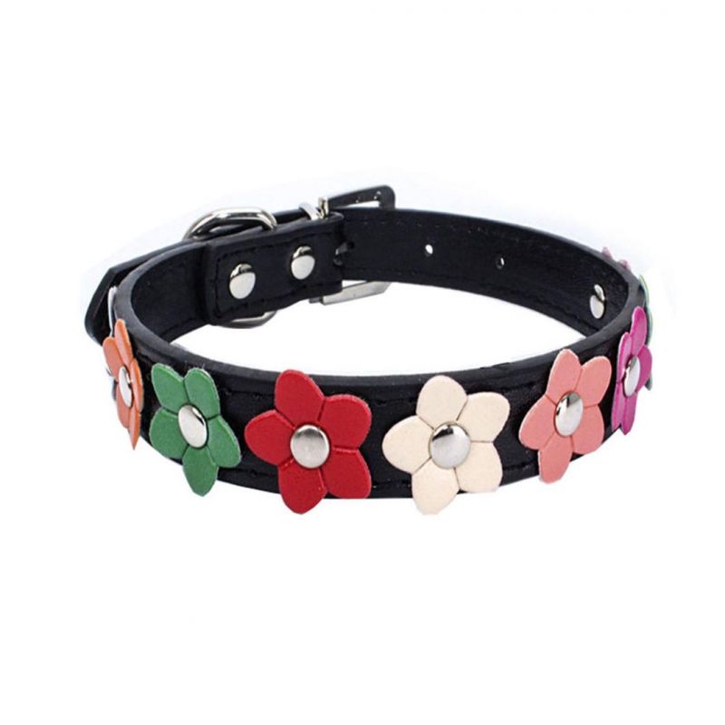 Charming Dog Collar with Beautiful Flowers Design