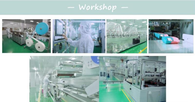 Disposable Pet Diaper for Daily Clean up Use Cheap China Wholesale Supplier