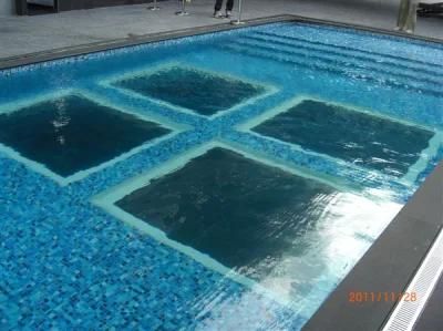 Swimming Pool/Acrylic Swimming Pool/Transparent Acrylic