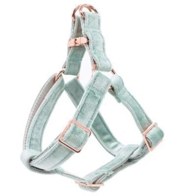OEM Sublimation Fashionable Pet Supplier Velvet Metal Buckle Dog Strap Harness