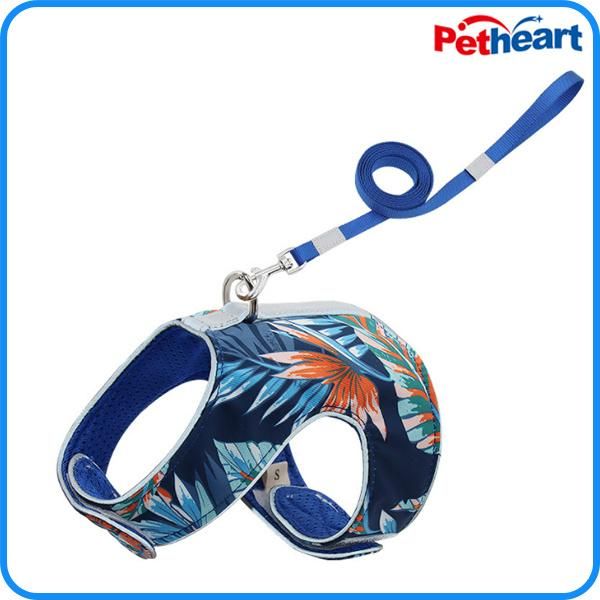 Factory Wholesale Pet Cat Harness with Leash