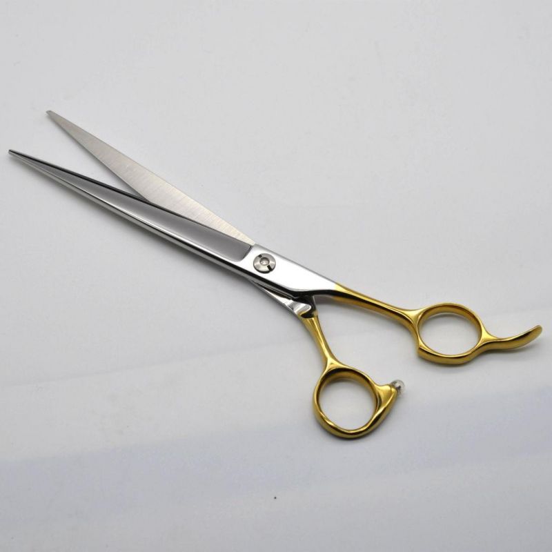Hairdressing Professional Scissors Set Haicut Scissors Packaging