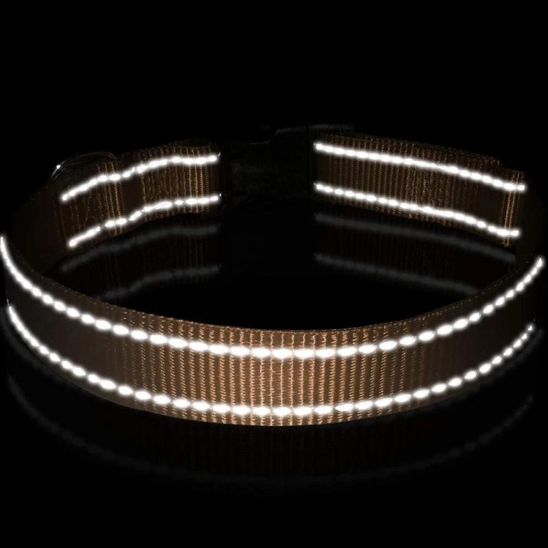 Reflective Nylon Webbing Dog Collar with 12 Colors Option