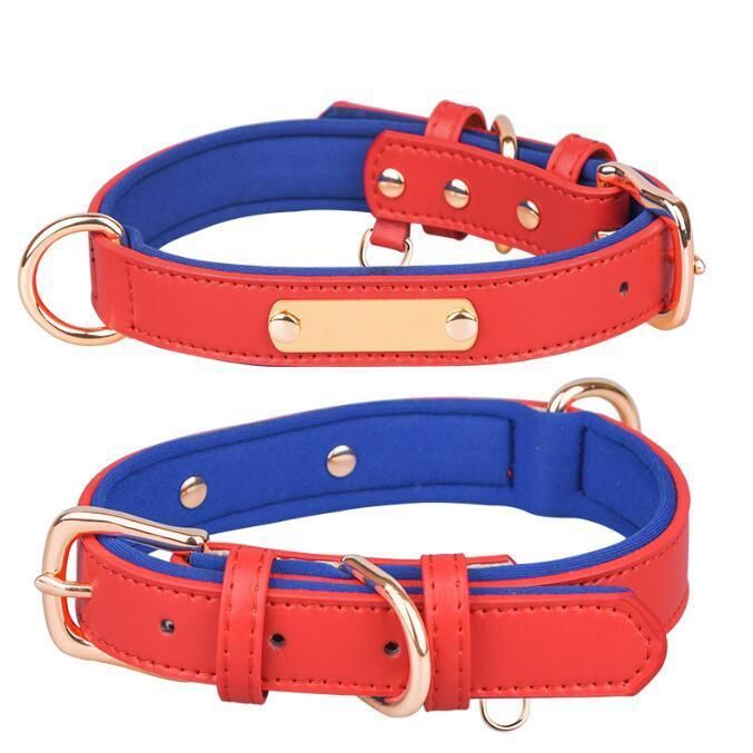Leather Dog Collar Brass Buckle Soft Neoprene Padded Dog Collar