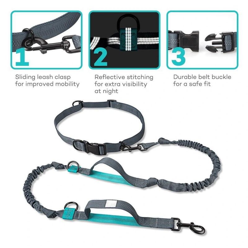 Retractable Hands Free Dog Leash with Dual Bungees for up to 150 Lbs Large Dogs