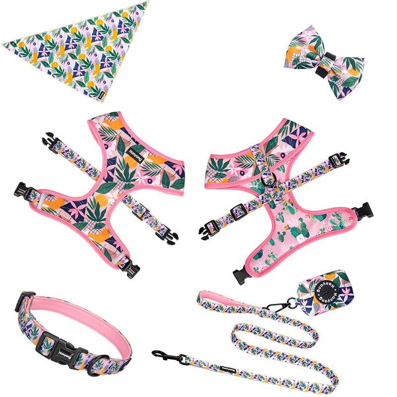 Most Popular Wholesale Durable Customized Dog Accessories Set