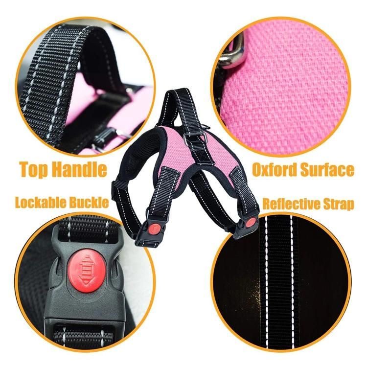 Breathable Soft Mesh Inner Dog Harness Reflective Polyester Dog Leash