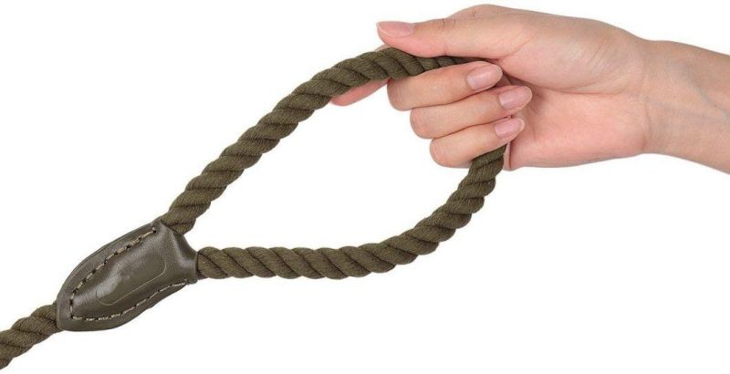 Soft & Durable Cotton Dog Leash with Strong Locking Carabiner