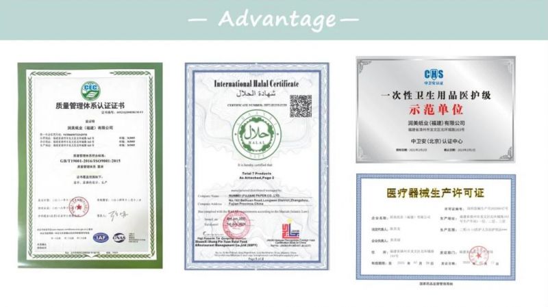 High Quality Super Absorption Disposable Pet Dog Diaper Manufacturer