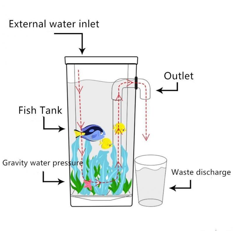Customized Acrylic Fish Tank External Filter Can Be Placed on The Desktop