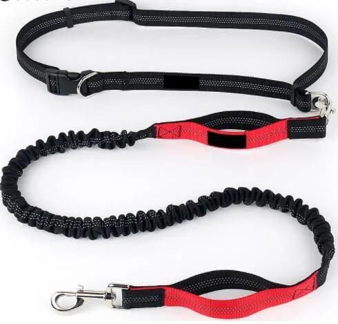 Hands Free Running Bungee Pet Leash with Pouch