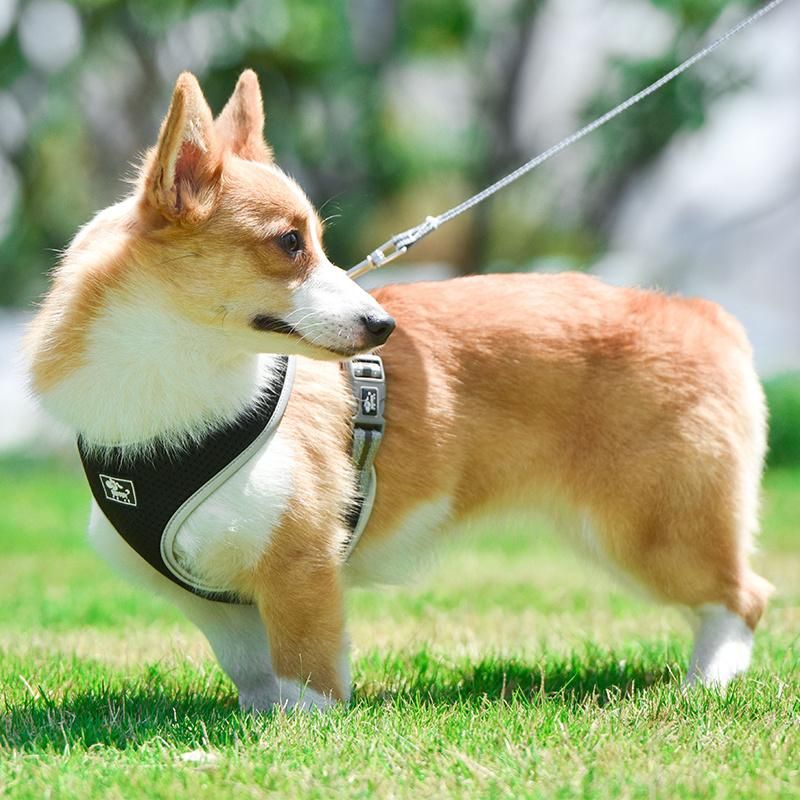 Reflective Vest Adjustable Soft Breathable Dog Harness Nylon Mesh Leash Pet Products
