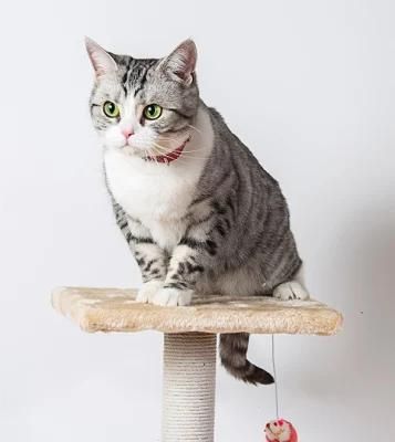 Cat Tree Cats Factory Direct Supply Modern Design Wood Cat Tree Furniture Climbing Play Tower for Cats