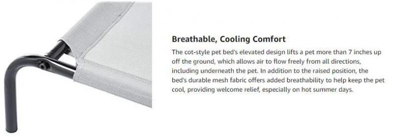 Elevated Cooling Pet Bed Easy Cleaning Cheap Dog Beds