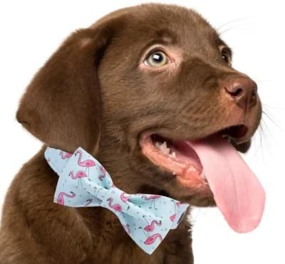 Custom Pattern Adjustable Dog Collar with Fashion Bowtie for Pets