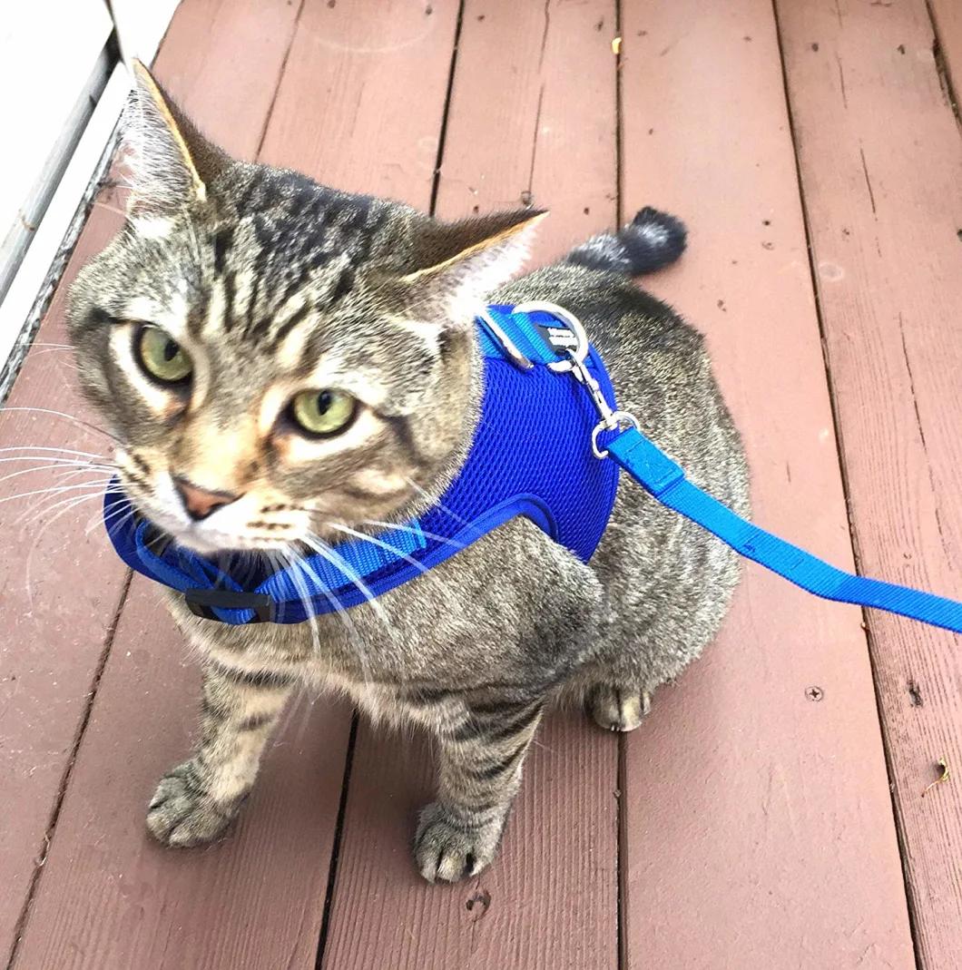 Pet Supply Best Cat Vest Harness and Leash Combo with Added Safety Features to Make It Escape Proof for Small, Medium, Large Cats and Small Dogs/Puppy