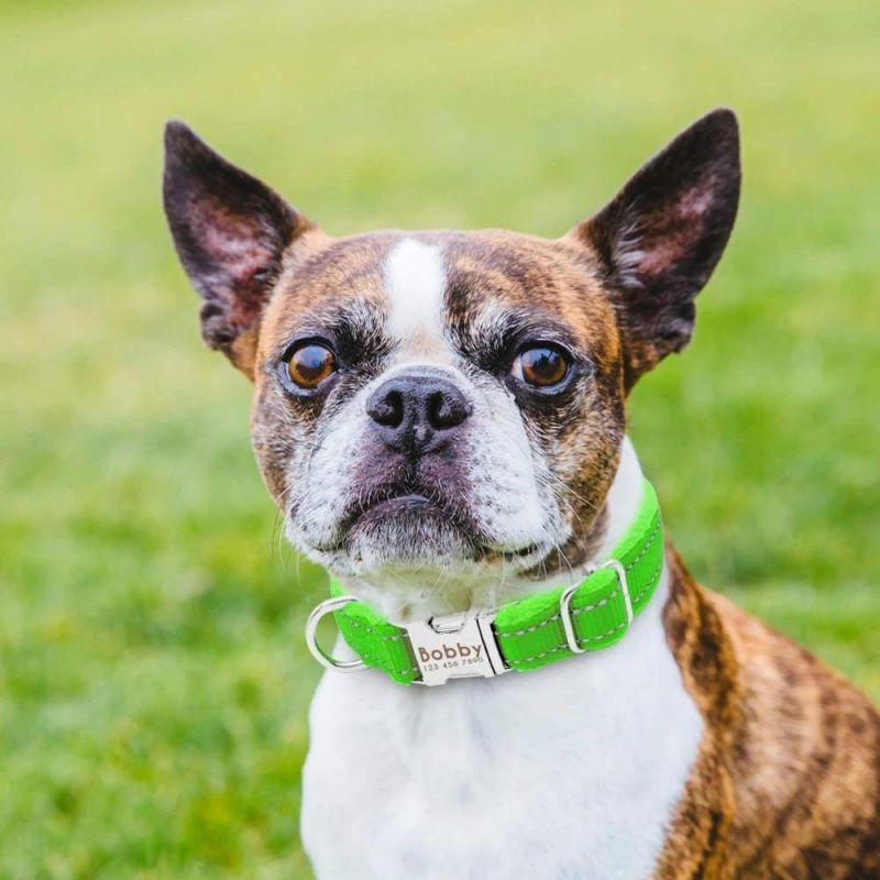 Super Easy to Put It on Soft Flannel Dog Collar