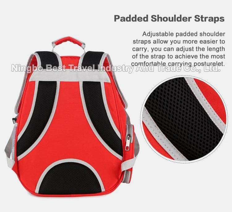 Airline-Approved Travel Cats and Dog Puppies Bubble Backpack Transparent Capsule Ventilated Small Pet Backpack Bag Carrier
