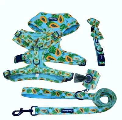 Custom Soft No Pull Pet Vest Adjustable Reversible Designer Dog Harness Leash Collar Set Dog Harness Manufacture