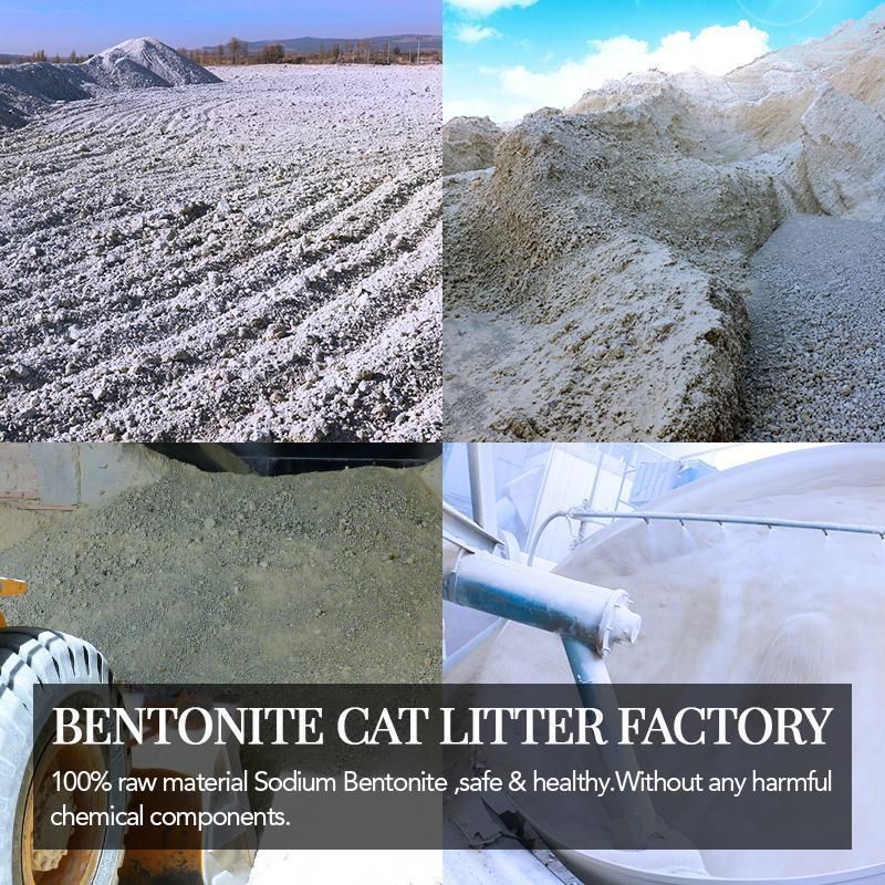 BSCI Factory Hot Cat Sand 5kg 10kg Strong Agglomeration and Deodorization Ball Shape Bentonite Cat Litter