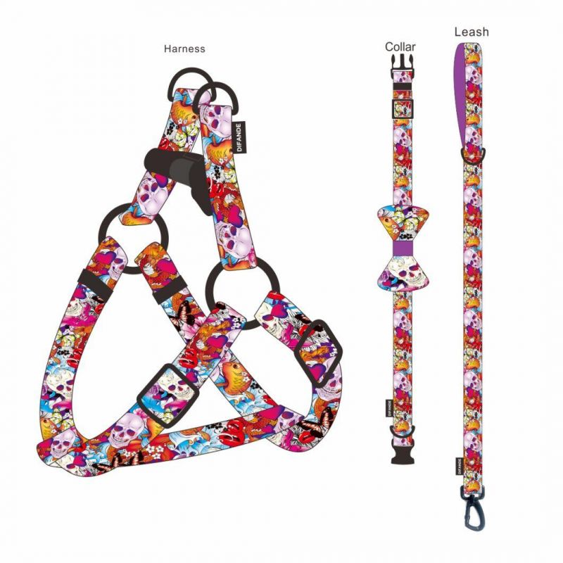 High Quality Comfort Mesh 6 in 1 Reversible Dog Harness with Matching Dog Collar Leash Set