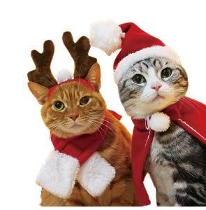 High Quality Fashion Cute Pet Christmas Costume/Christmas Pet Clothes