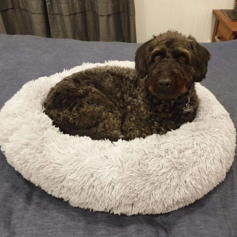 Round Pet Bed House Soft Long Plush for Dog Products Cushion Cat Bed House Animals Sofa