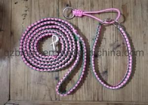 Bingo Hand Made Paracord Dog Leash and Dog Collar