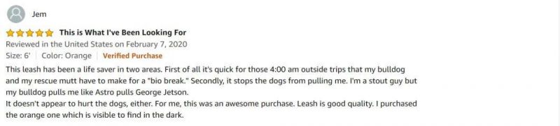 Dog Leash Slip Rope Lead Leash Strong Heavy Duty Braided Rope No Pull Training Lead