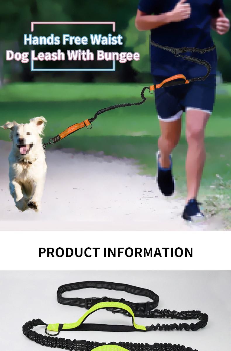 Manufacturer Wholesale Shock-Absorbing Bungee with Reflective Stitching Cuerda De Tracci N PARA Mascotas Pet Leash for Labrador Chow Samoyed