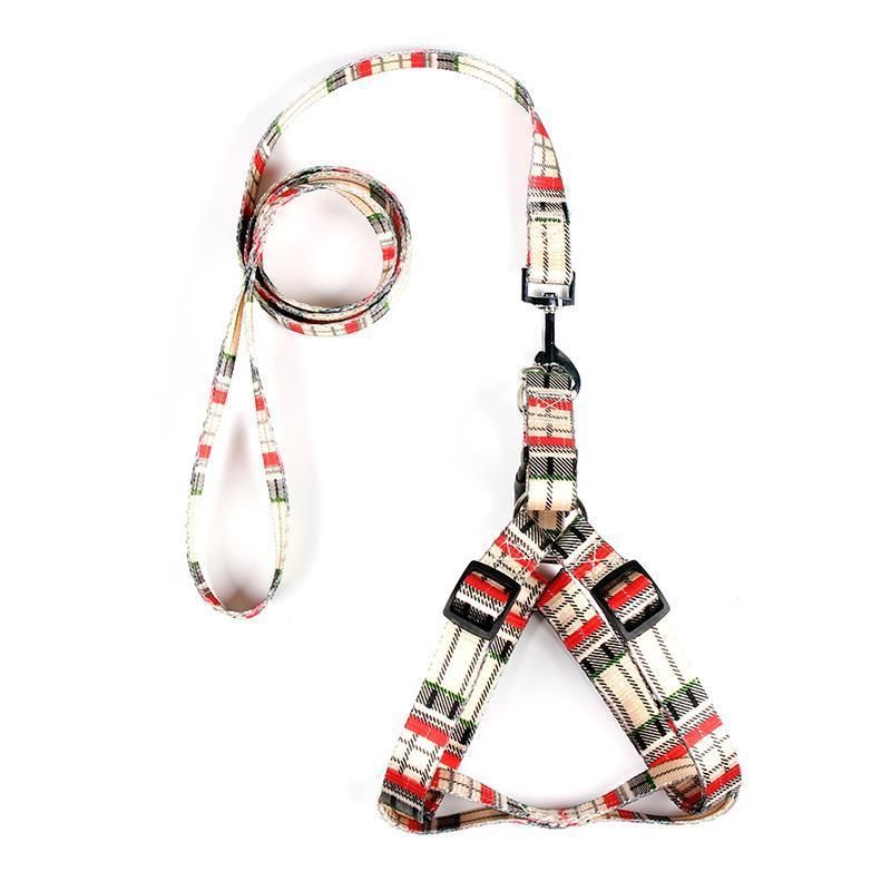 Dog Products, 2021 Hot Selling Pet Products Four Colors New Style / Nylon Dog Leash