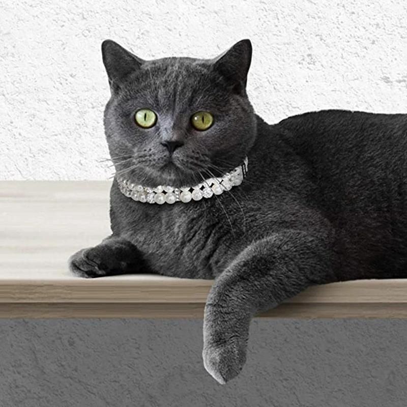 Pearl Rhinestone Cat Dog Chain Necklace with PU