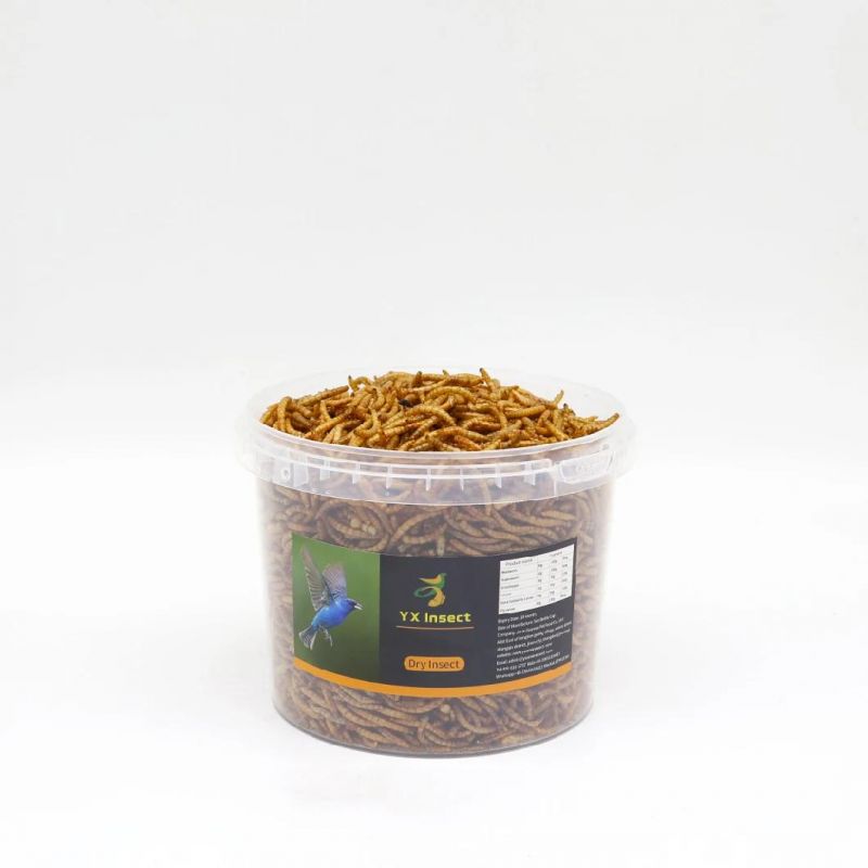 High Protein Dried Mealworm Poultry/ Wild Bird/ Fish Feed