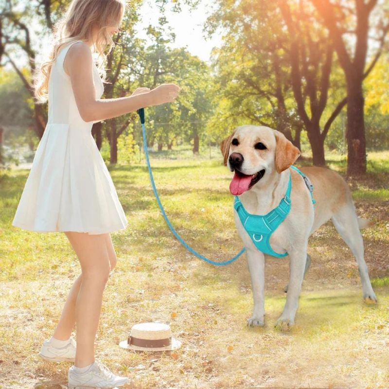 Ultra Reflective Mesh Pet Harness with Multiple Colors Option
