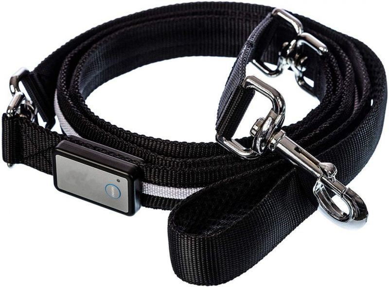 4FT & 6 FT Water Resistant Lighting LED Dog Leash