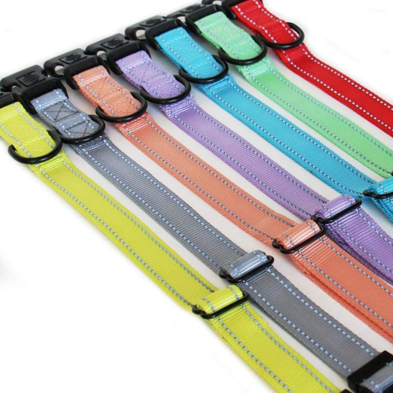 Durable Reflective Nylon Dog Collar with Multiple Colors